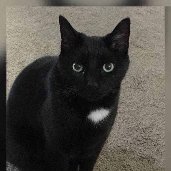 Meet your Posher, Suchitra - Picture 1 of 1